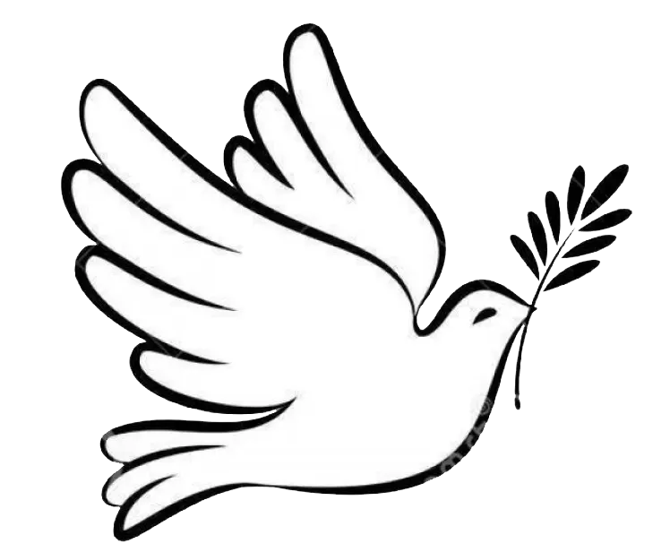 dove-outline-vector-white dove-outline-vector-white