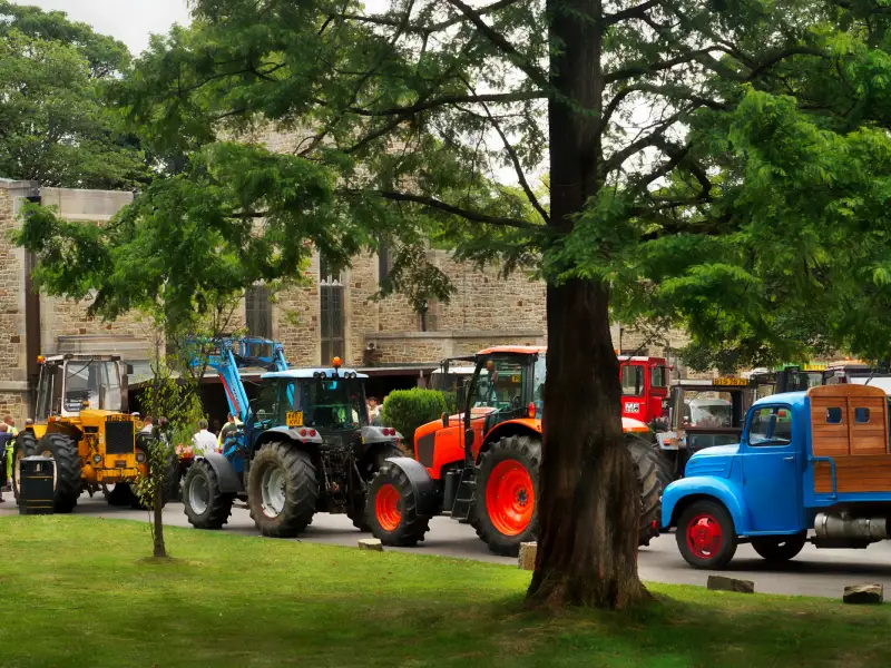 Tractors pic